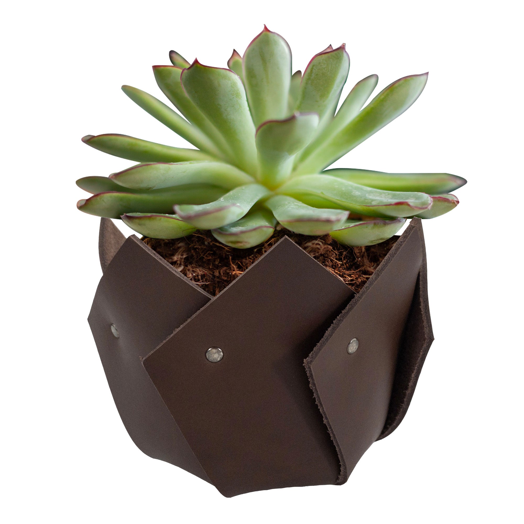 Plant Pot Cover - Stockyard X 'The Leather Store'
