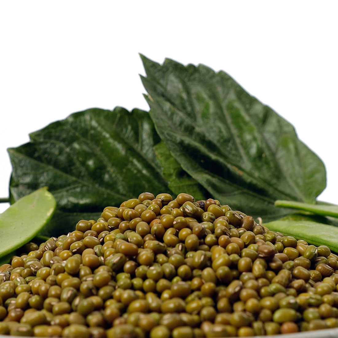 Mung Beans - Stockyard X 'The Leather Store'