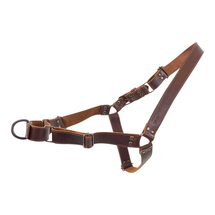 Easy Walk Leather Dog Harness - Stockyard X 'The Leather Store'