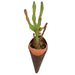 Air Plant Holder - Stockyard X 'The Leather Store'