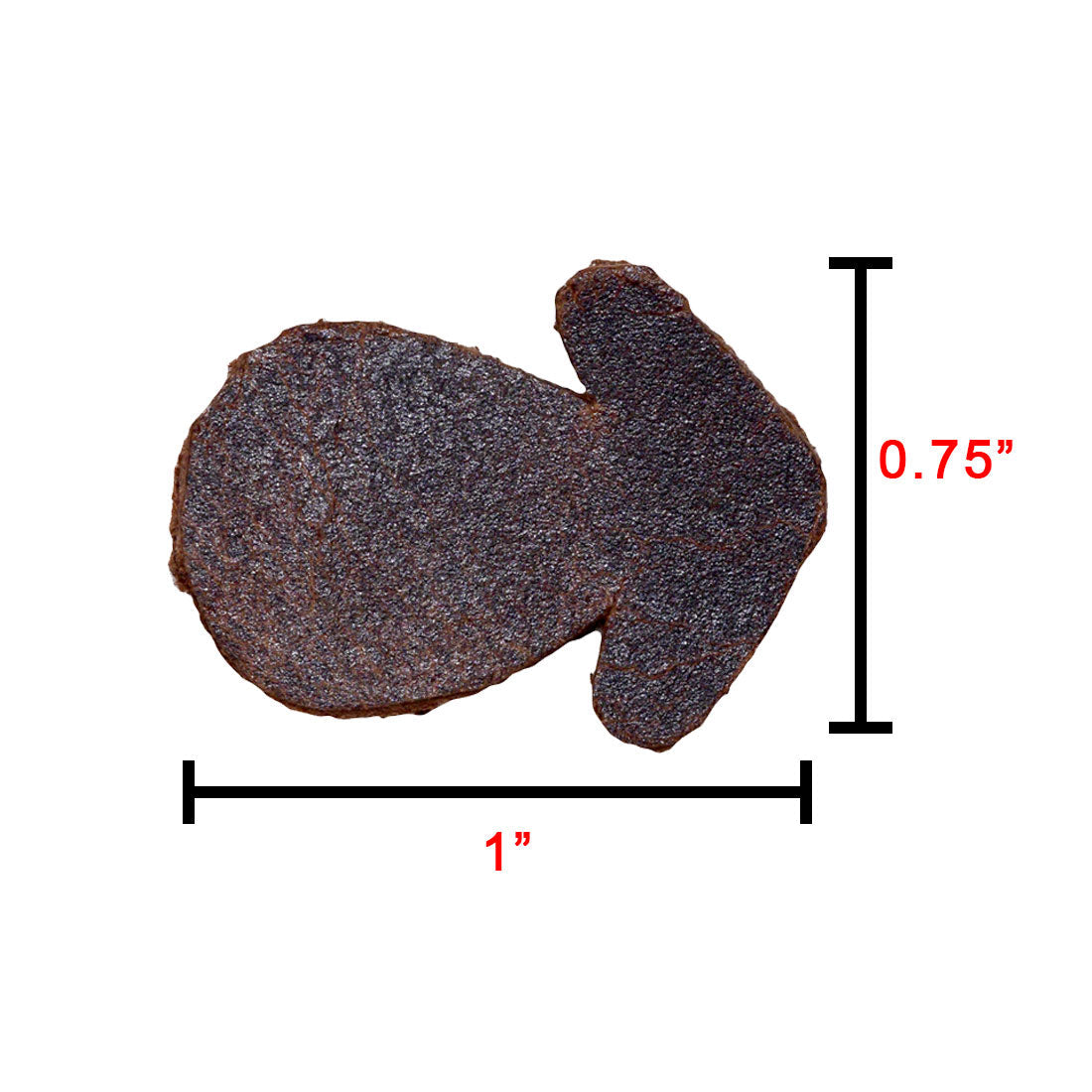 Arrow Shapes (Set of 20) - Stockyard X 'The Leather Store'
