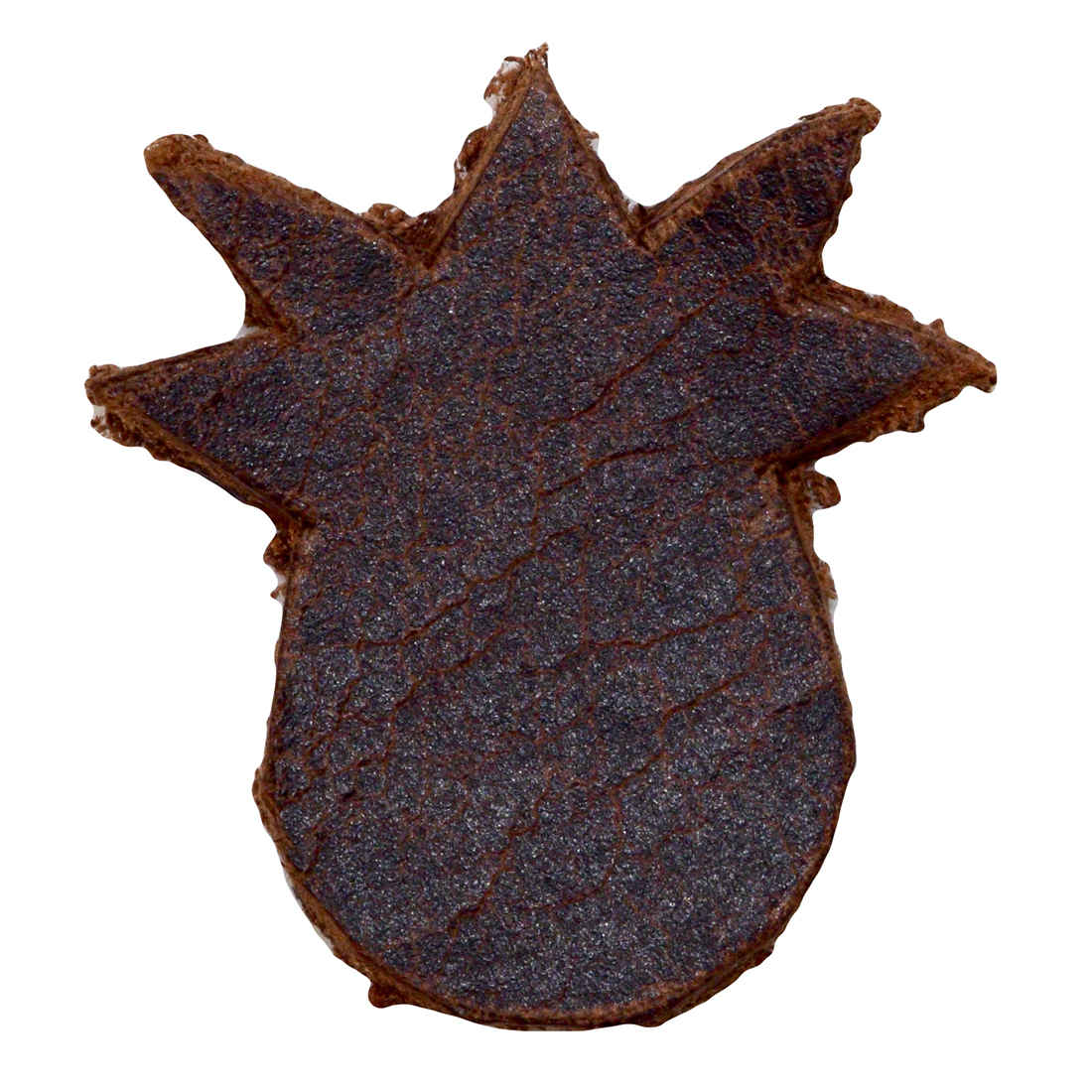 Little Shapes Assortment (20 Pack) - Stockyard X 'The Leather Store'