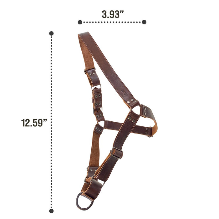 Easy Walk Leather Dog Harness - Stockyard X 'The Leather Store'