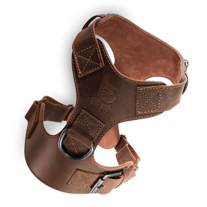 Dog Harness