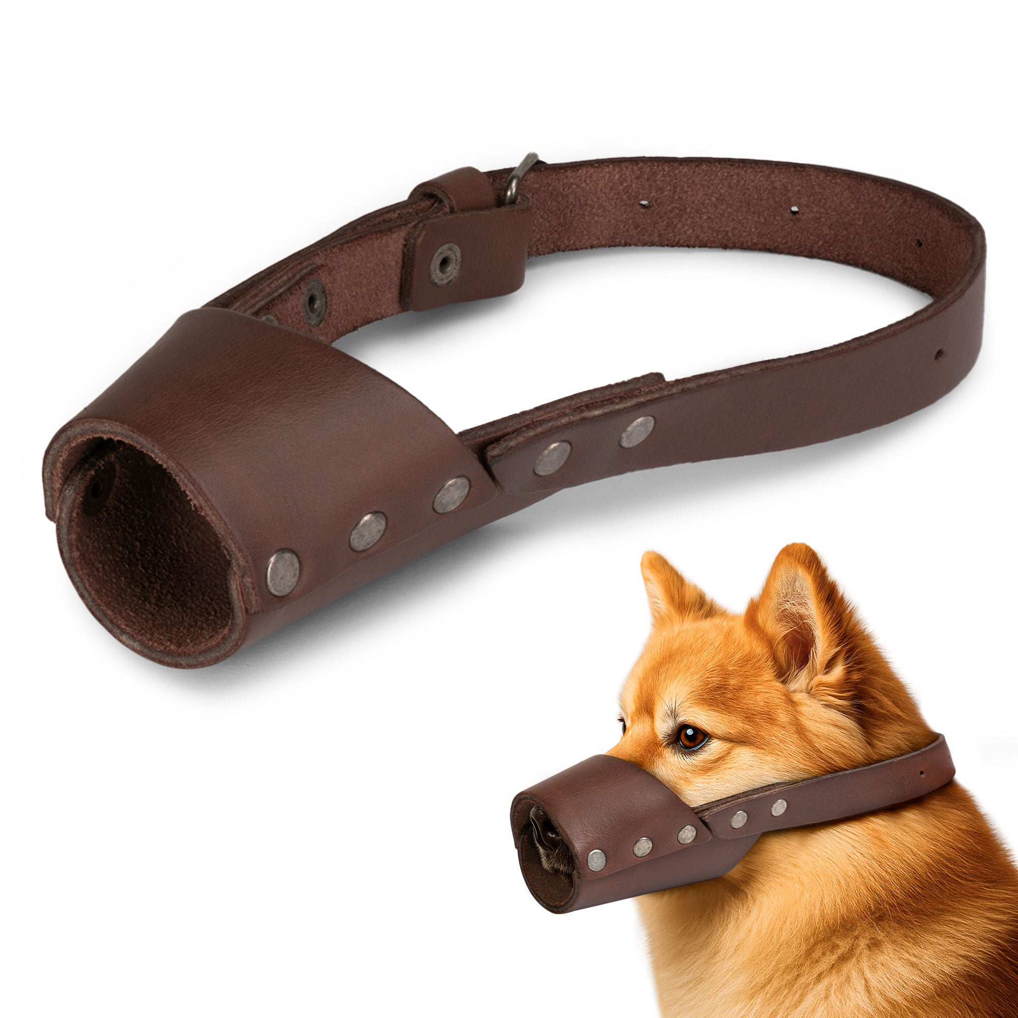 Taco Dog Dog Muzzle featured in a stylish design, handmade from full grain leather, serving as a secure training cover and mouth guard mask to prevent biting and chewing. Perfect for dogs needing a durable Dog Muzzle. This artisan product is hand cut and sewn in La Antigua Guatemala.