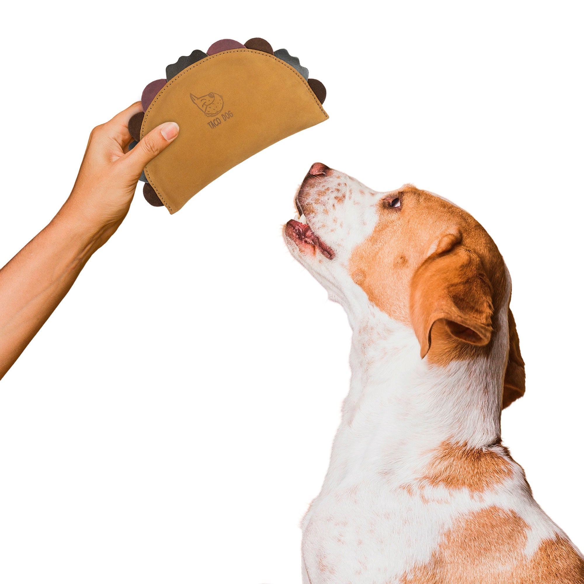 A playful dog engaging with Taco Dog's taco-shaped chew toy, made from full grain leather. This fun accessory ensures satisfaction for puppies and active chewers, crafted with artisan quality in La Antigua Guatemala.