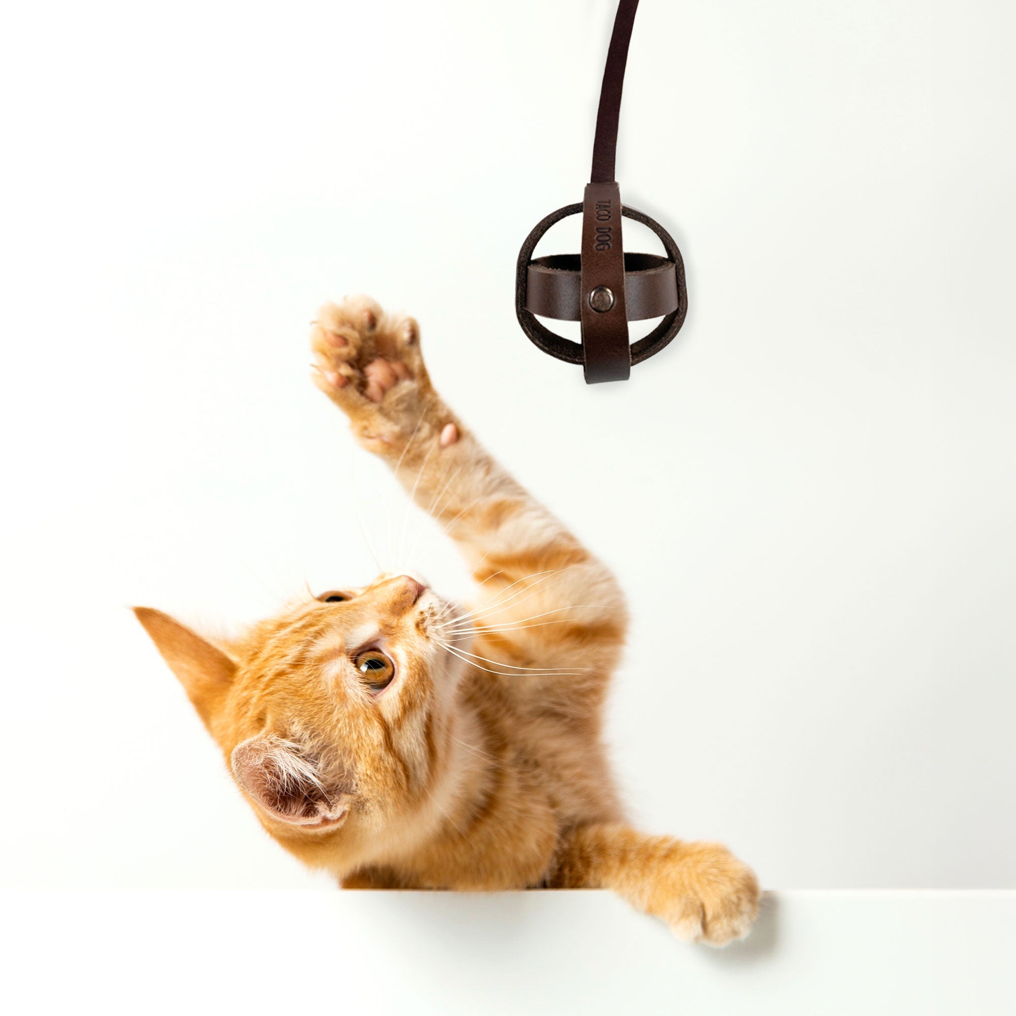 A playful cat interacting with Taco Dog's Ball Toy with Strap for Cats, showcasing the interactive design that provides hours of fun. Made from full grain leather, this chasing pet toy is perfect for indoor activity, handcrafted by artisans in La Antigua Guatemala.