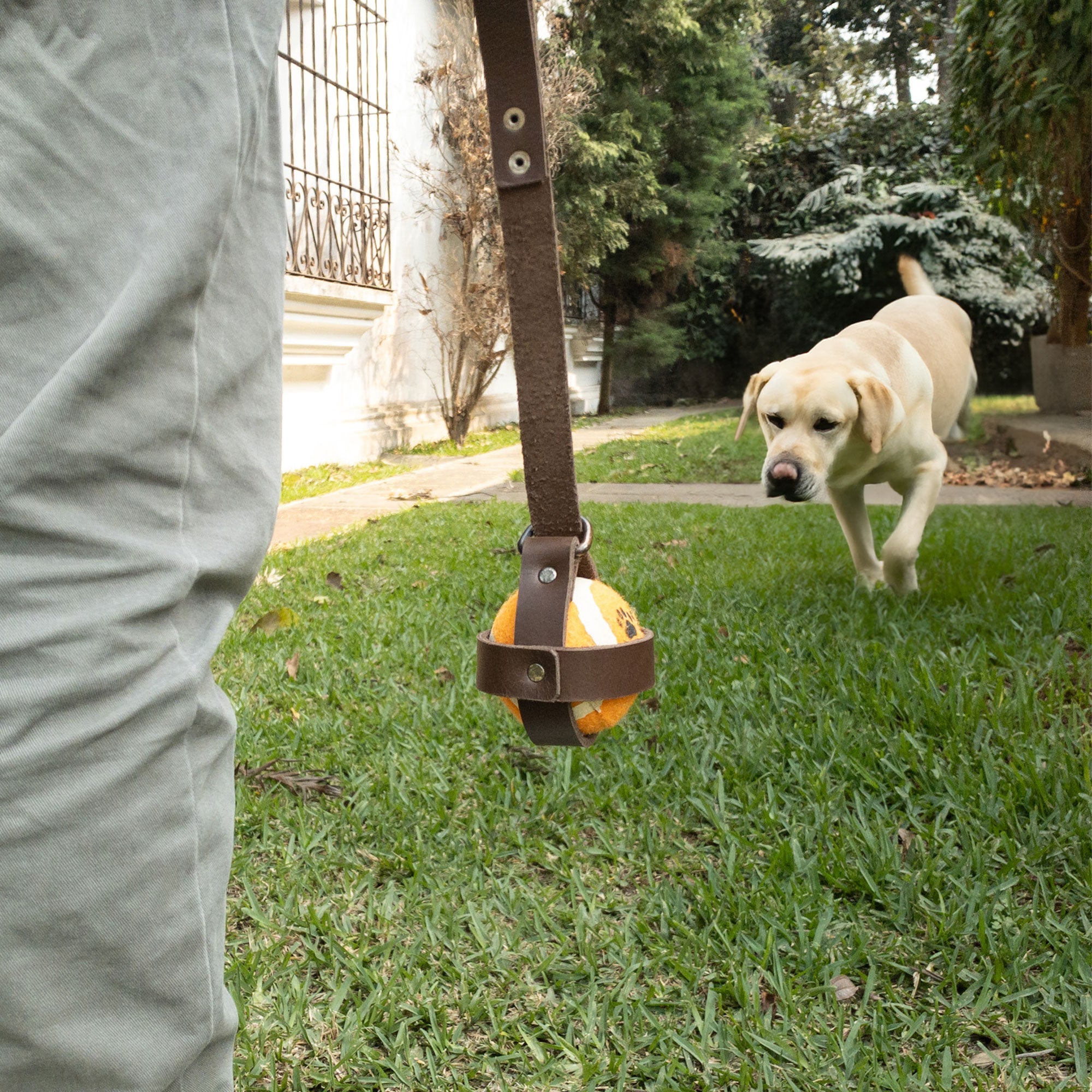 A person holding a Dog Ball Holder by Taco Dog while a dog plays nearby, showcasing the hands-free access feature of this full grain leather pet toy holder. Ideal for outdoor fun, it represents handmade pet supplies that emphasize artisan techniques and quality materials from La Antigua Guatemala.