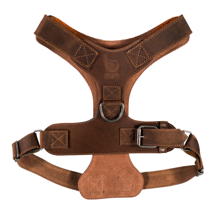 Dog Harness