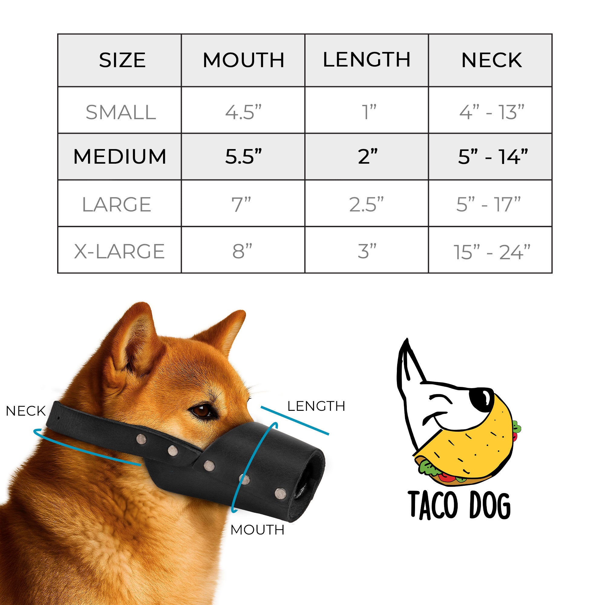 Taco Dog Dog Muzzle on a dog, showcasing an artisan-crafted design made from full grain leather. This muzzle is perfect for training, effectively preventing biting and chewing.