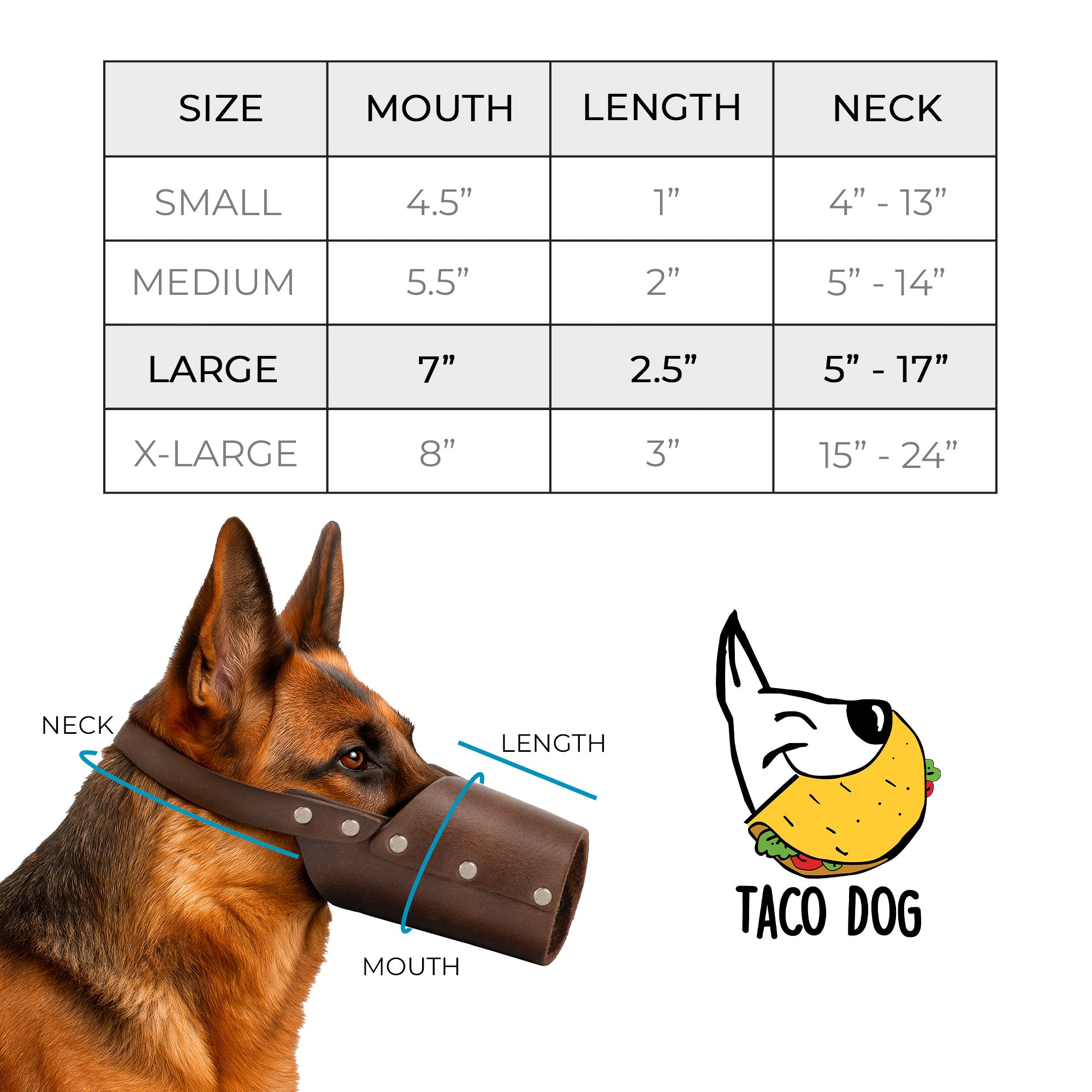 Taco Dog Dog Muzzle on a dog, showcasing its stylish design and secure fit. Made from durable full grain leather, it prevents unwanted biting and chewing while ensuring comfort.