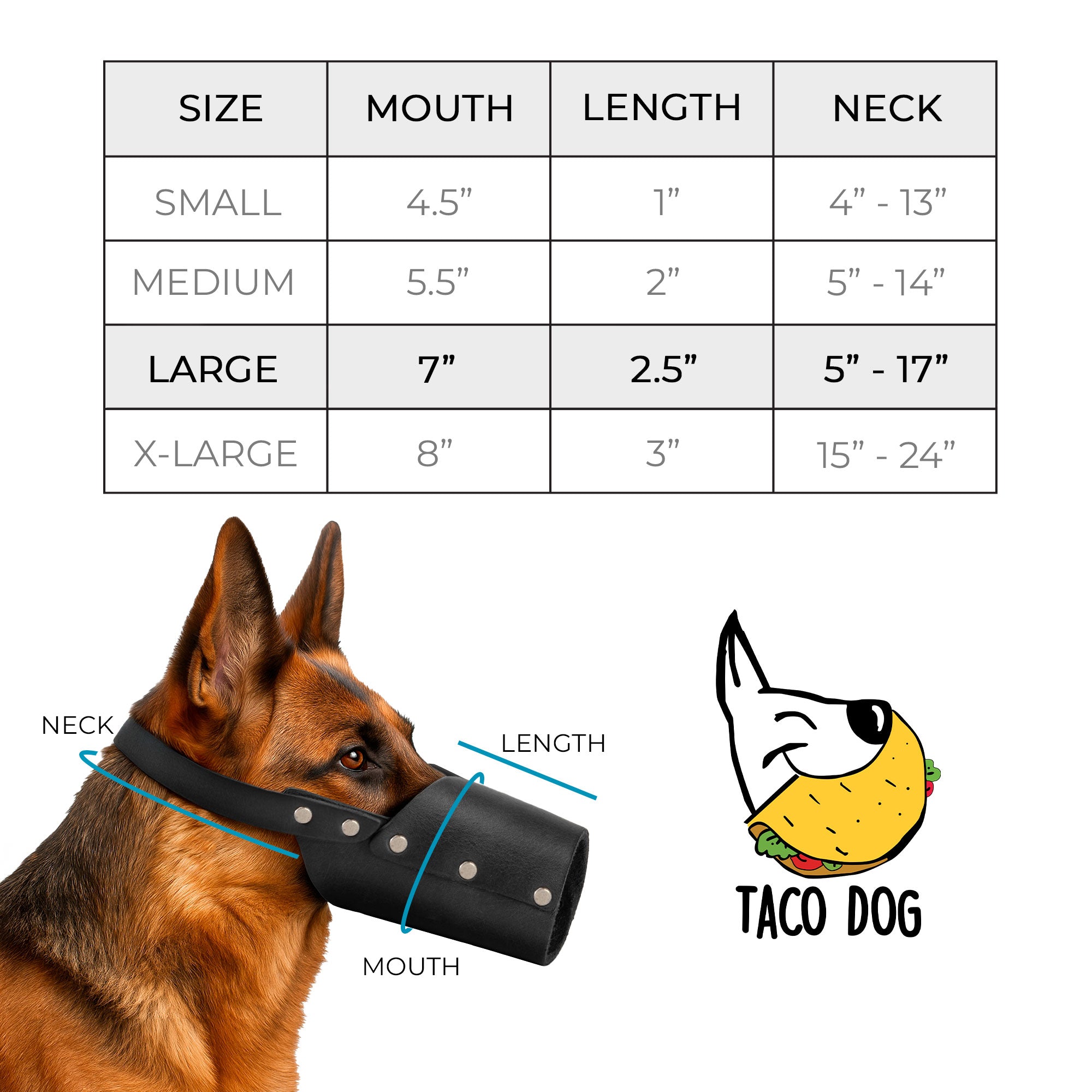 Taco Dog Dog Muzzle on a dog, showcasing its high-quality design made from full grain leather. Perfect for training, this muzzle prevents biting and chewing effectively.