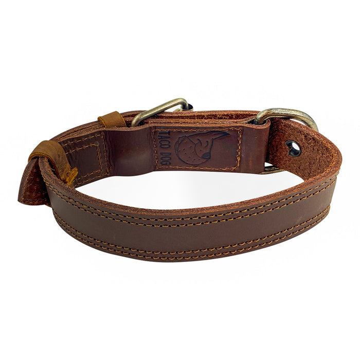 Dog Collar 125 Chewy