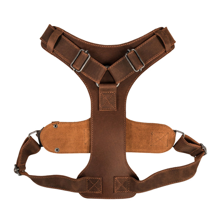 Dog Harness