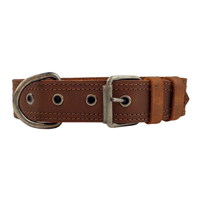 Dog Collar 125 Chewy