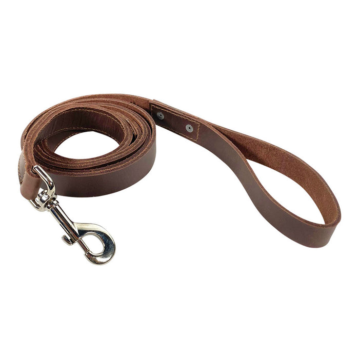 Dog Leash