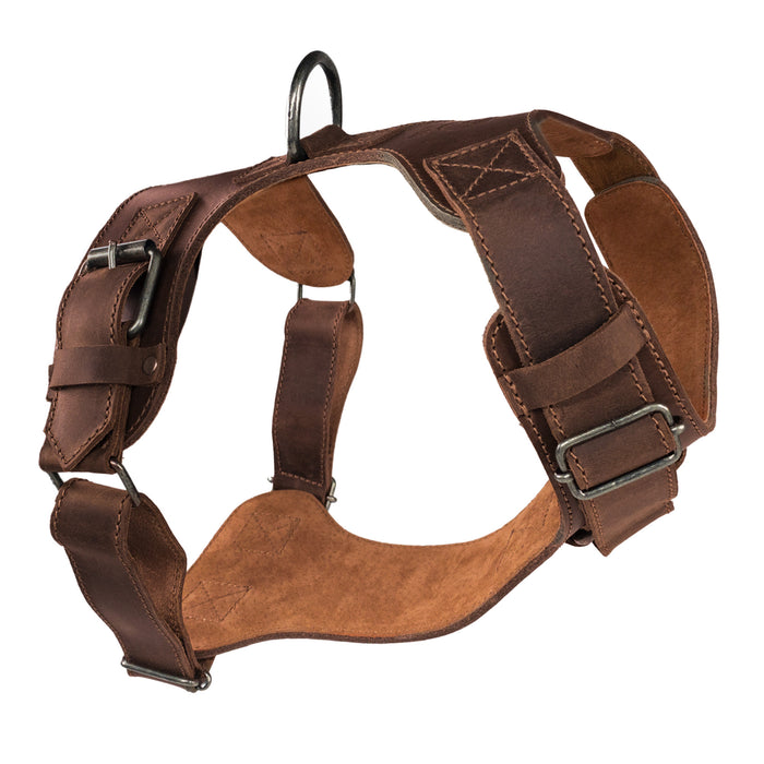 Dog Harness