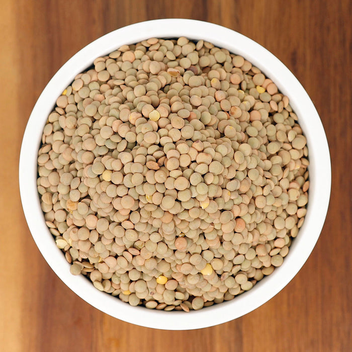 Lentil Beans - Stockyard X 'The Leather Store'