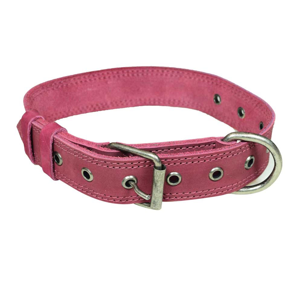 Leather Medium Dog Collar (12 to 21 in.) - Stockyard X 'The Leather Store'