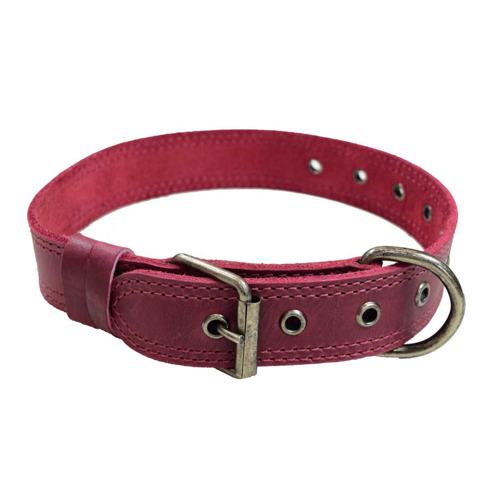 Leather Medium Dog Collar (12 to 21 in.) - Stockyard X 'The Leather Store'