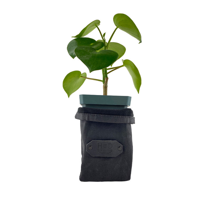 Waxed Canvas Storage Planter - Stockyard X 'The Leather Store'