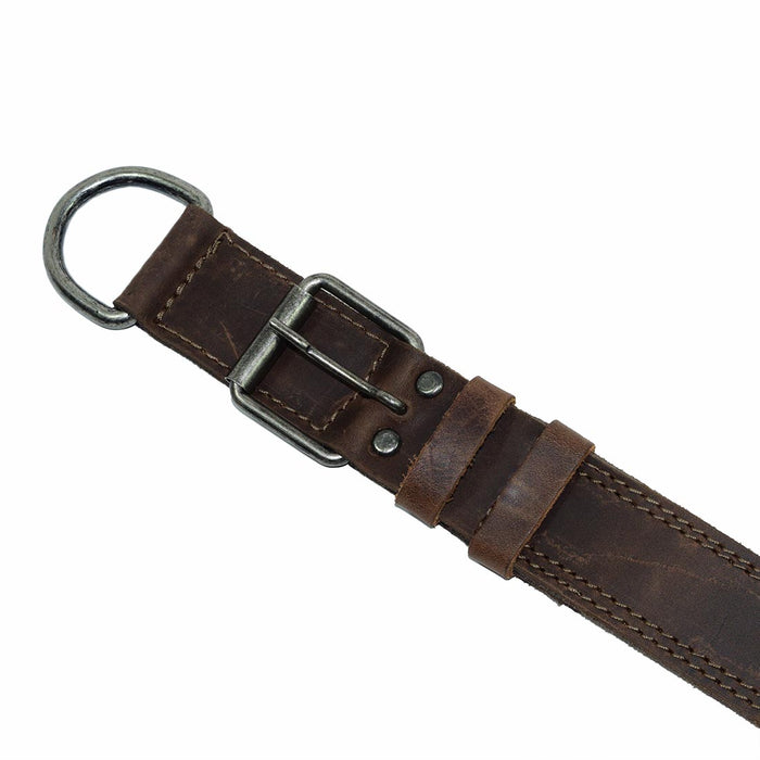 Dog Collar Thick for Small Sized Dogs