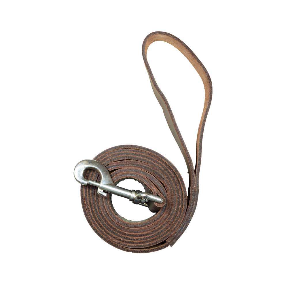 Leather Dog Leash (6 feet) - Stockyard X 'The Leather Store'