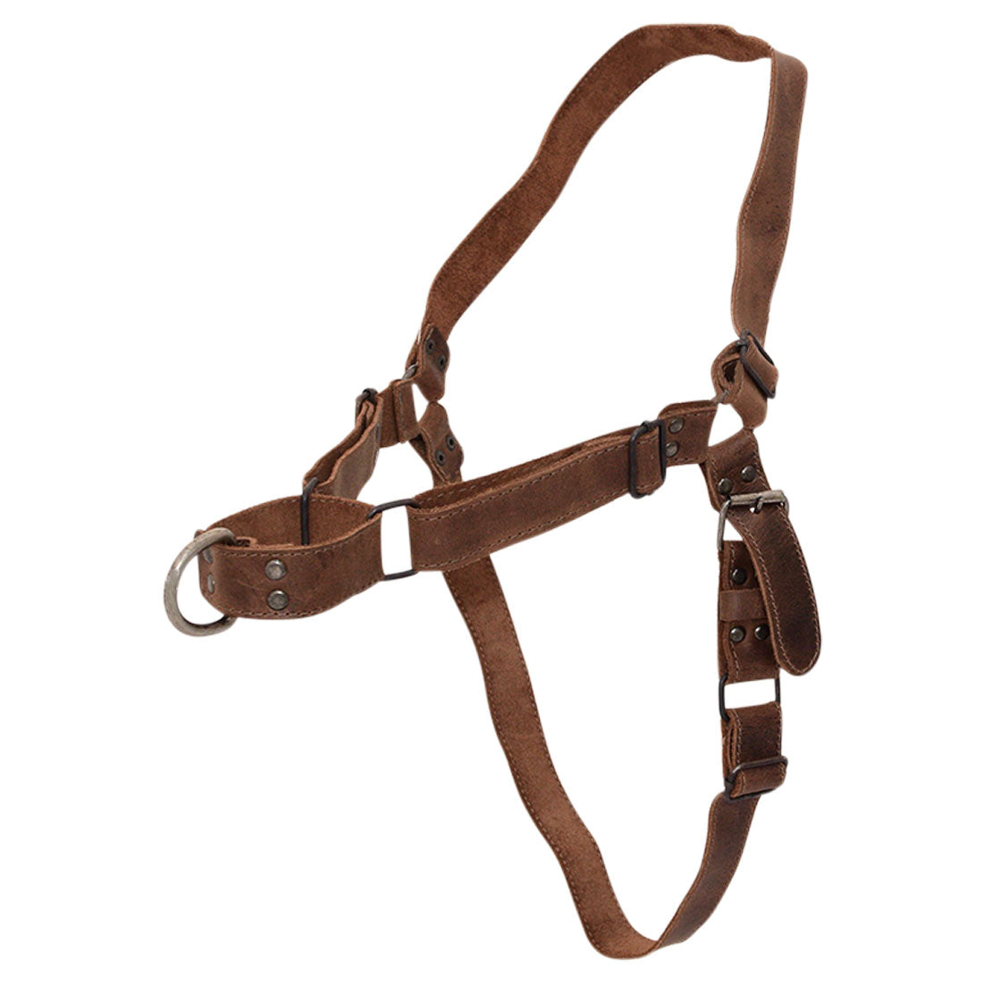 Another view of the versatile No Pull Dog Harness by Hide & Drink, highlighting the adjustable straps and durable full grain leather. This harness is a reliable choice for pet training supplies, crafted with care and hand sewn by artisans in La Antigua Guatemala & Oaxaca Mexico.