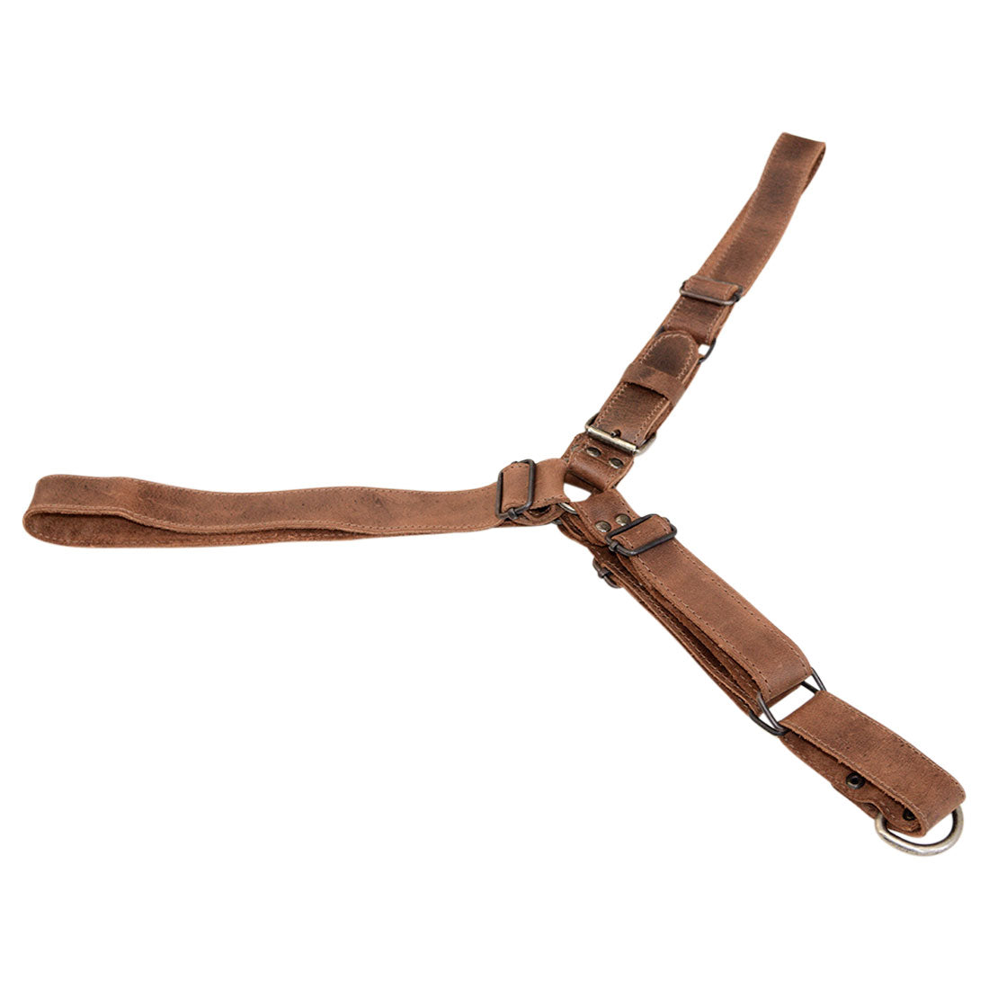 A complete view of the No Pull Dog Harness by Hide & Drink showcasing its stylish design and adjustable straps. This No Pull Walking Dog Harness is made from full grain leather, providing comfort and durability, crafted right in La Antigua Guatemala & Oaxaca Mexico.