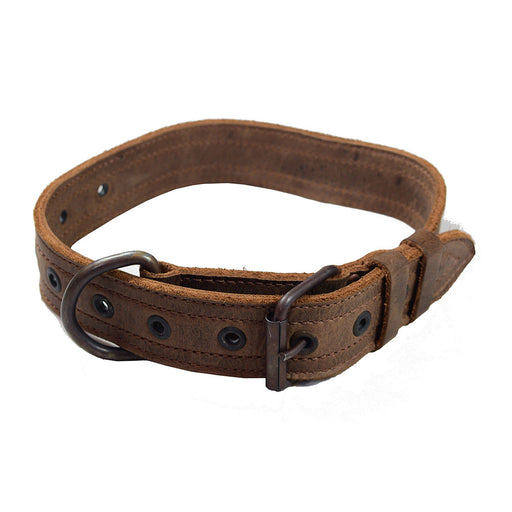 Combo Dog (3-Pack) - Stockyard X 'The Leather Store'