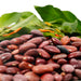 Ayocote Beans - Stockyard X 'The Leather Store'