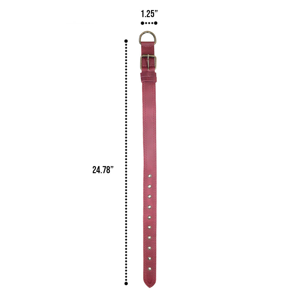 Leather Medium Dog Collar (12 to 21 in.) - Stockyard X 'The Leather Store'
