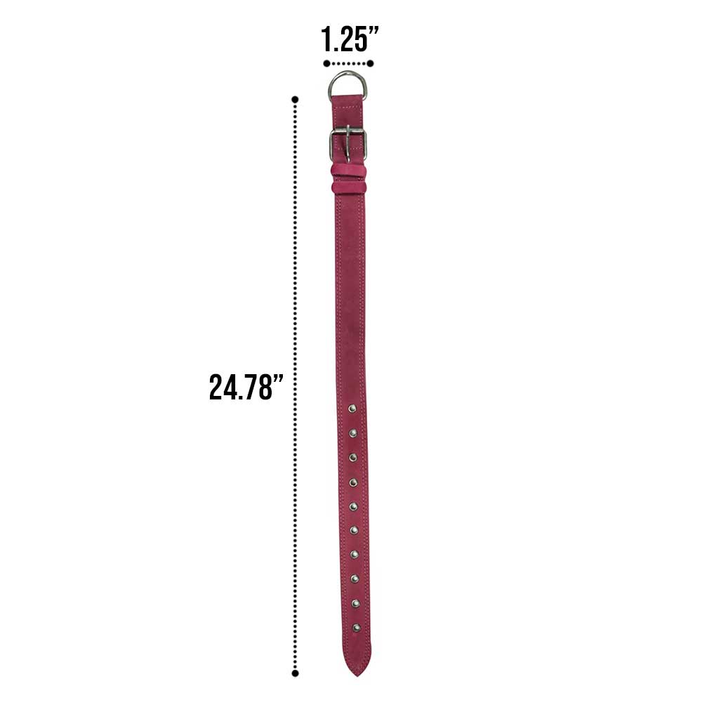 Leather Medium Dog Collar (12 to 21 in.) - Stockyard X 'The Leather Store'