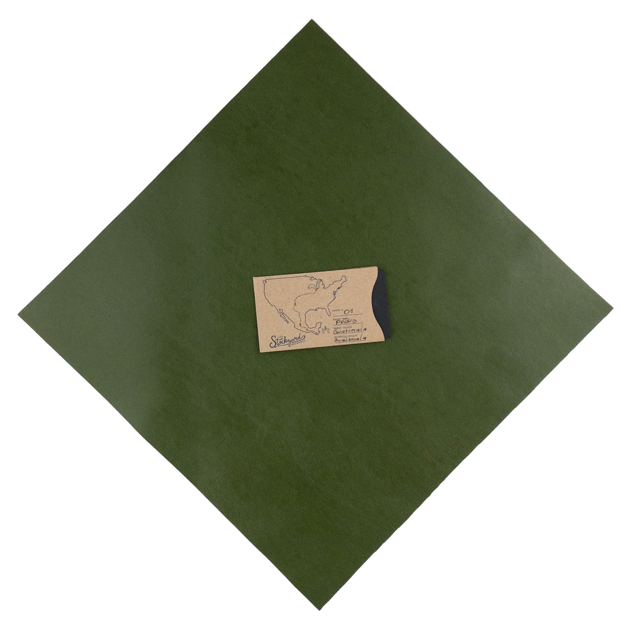 Cactus Leather Square 12 x 12 in. - Stockyard X 'The Leather Store'