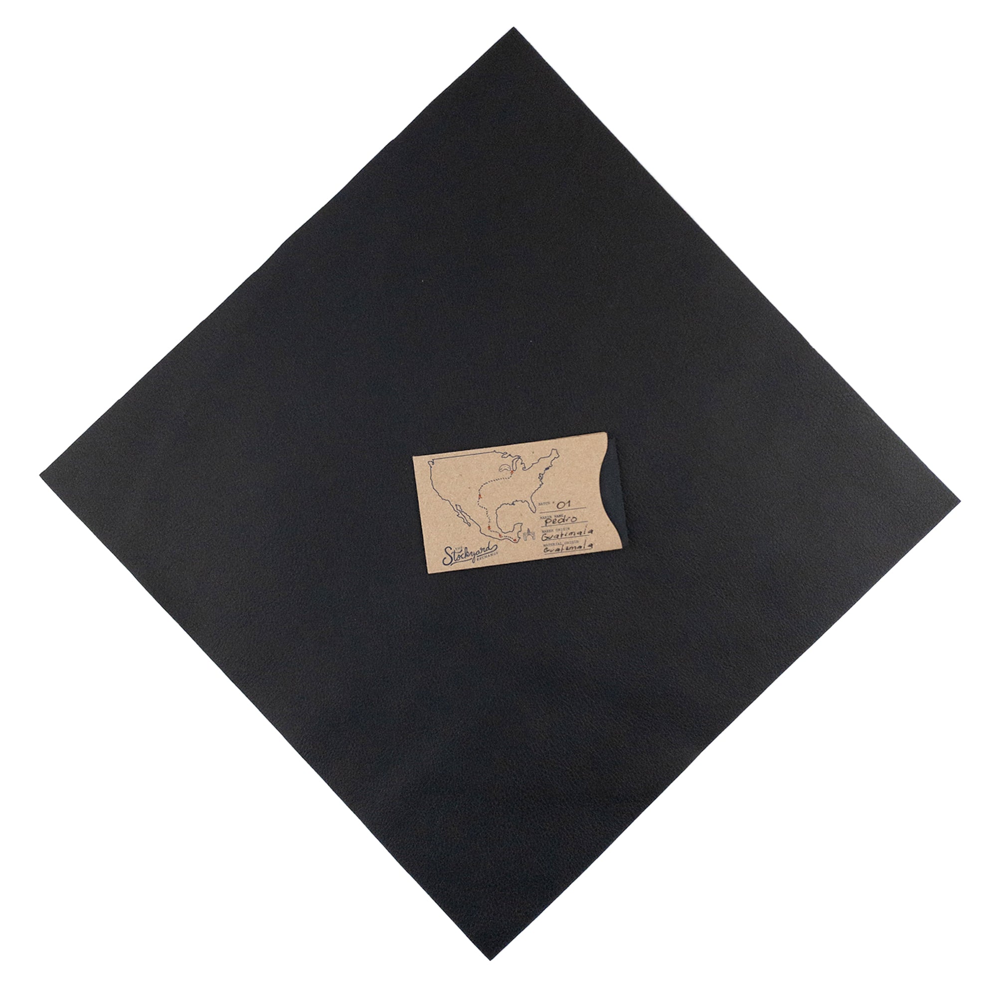 Cactus Leather Square 12 x 12 in. - Stockyard X 'The Leather Store'