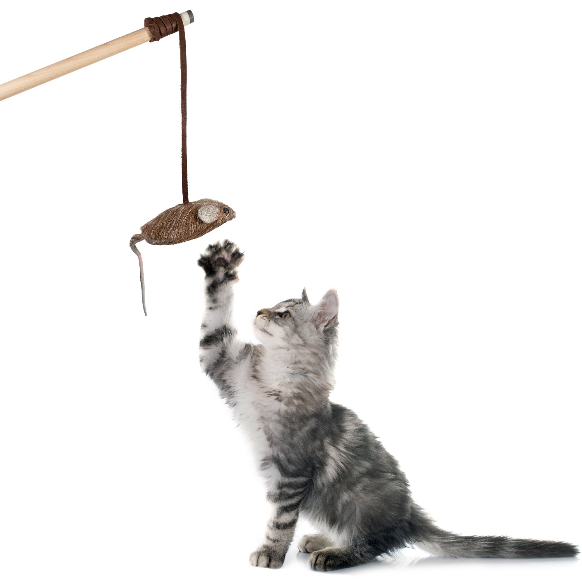 Furry Mouse Cat Toy - Stockyard X 'The Leather Store'