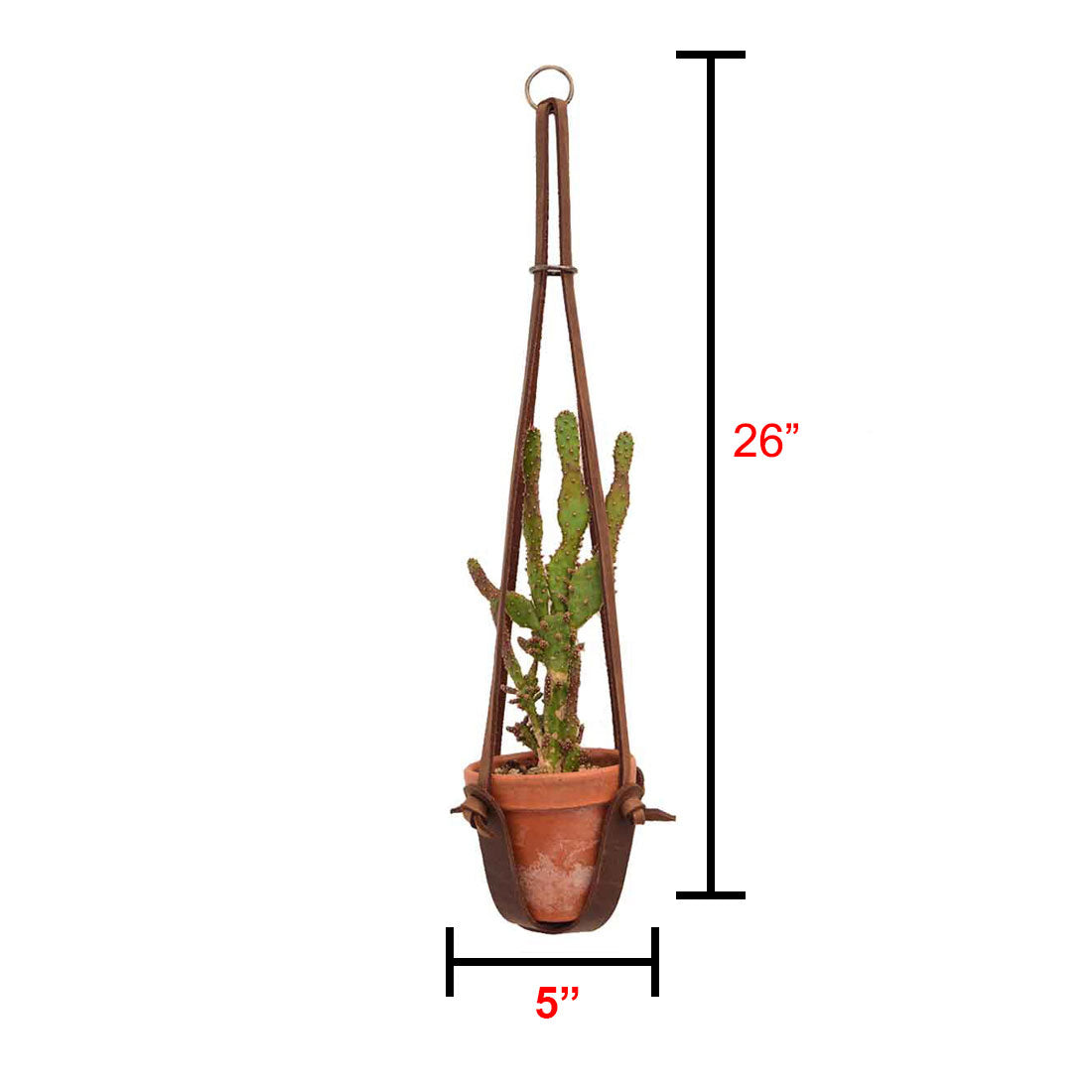 Dimensions of the Hanging Plant Holder by Hide & Drink are showcased, illustrating its size of 26 inches in height and 5 inches in width. This Full Grain Leather Plant Holder works as an elegant Plant Hanger, enhancing indoor decoration. Experience the quality of small batch production with hand cut and sewn elements, and fire branded details, all handmade in La Antigua Guatemala & Oaxaca Mexico.
