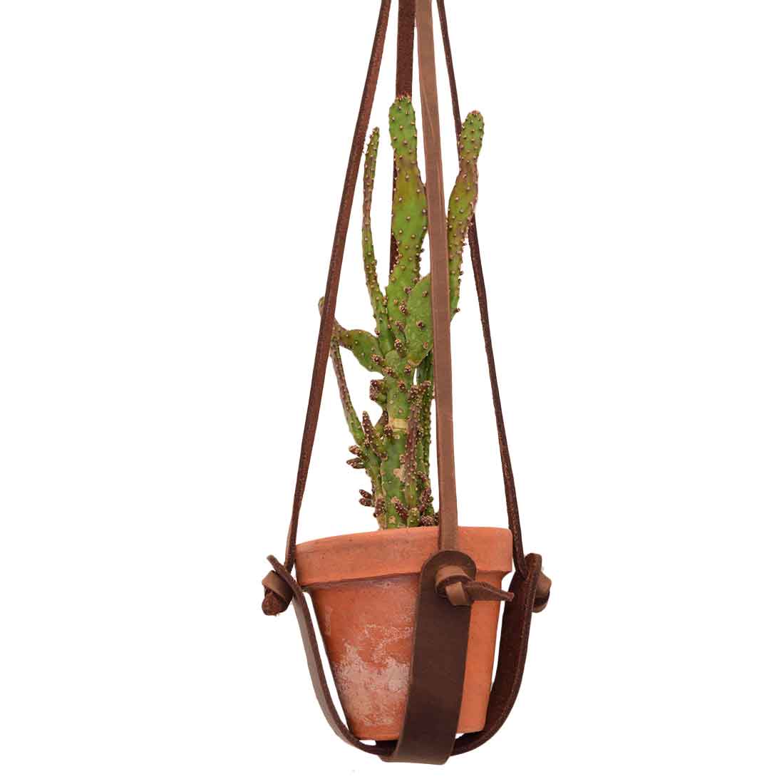 Side view of the Hanging Plant Holder from Hide & Drink, displaying a handcrafted Mexican design that supports a cactus in a terracotta pot. Made of durable Full Grain Leather, this Plant Holder is perfect as a Plant Hanger and an essential element of indoor decoration. Each piece reflects artisan skill from small batch production, expertly hand cut and sewn, and fire branded, handmade in La Antigua Guatemala & Oaxaca Mexico.